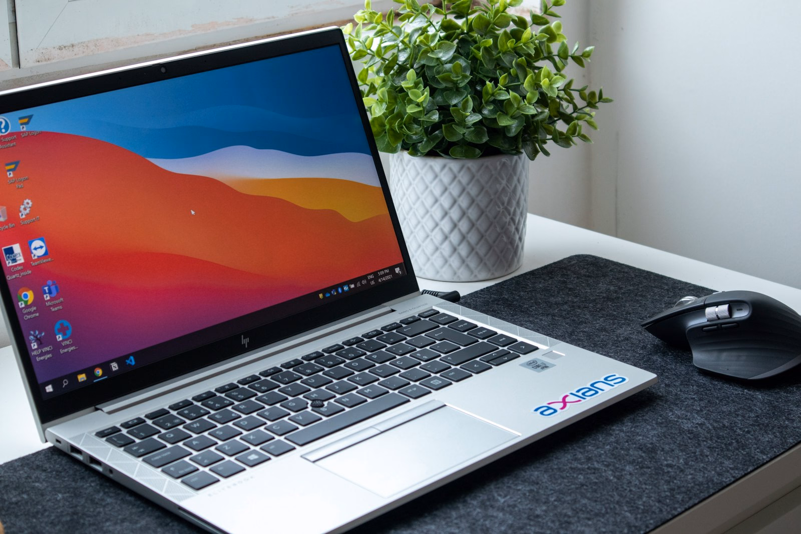 Aktuelles Business-Notebook mit Maus auf einem aufgeräumten Schreibtisch neben einer Pflanze.